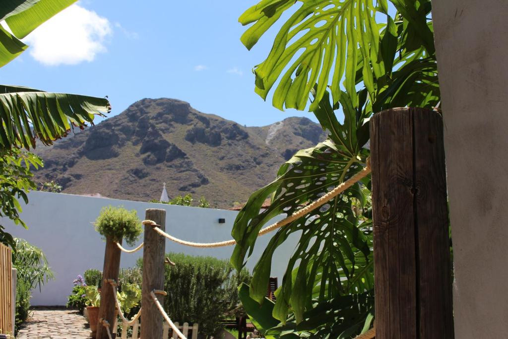 Piante tropicali e viste sulle montagne a Tenerife.