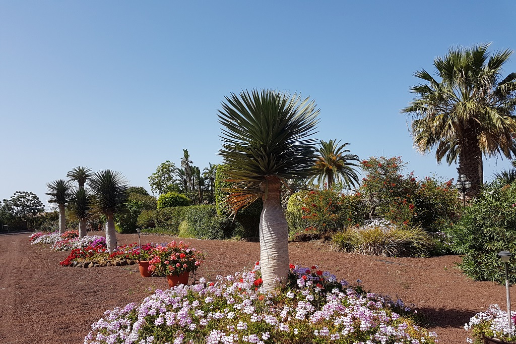 Casa Rural Finca El Picacho Casa Rural Finca El Picacho