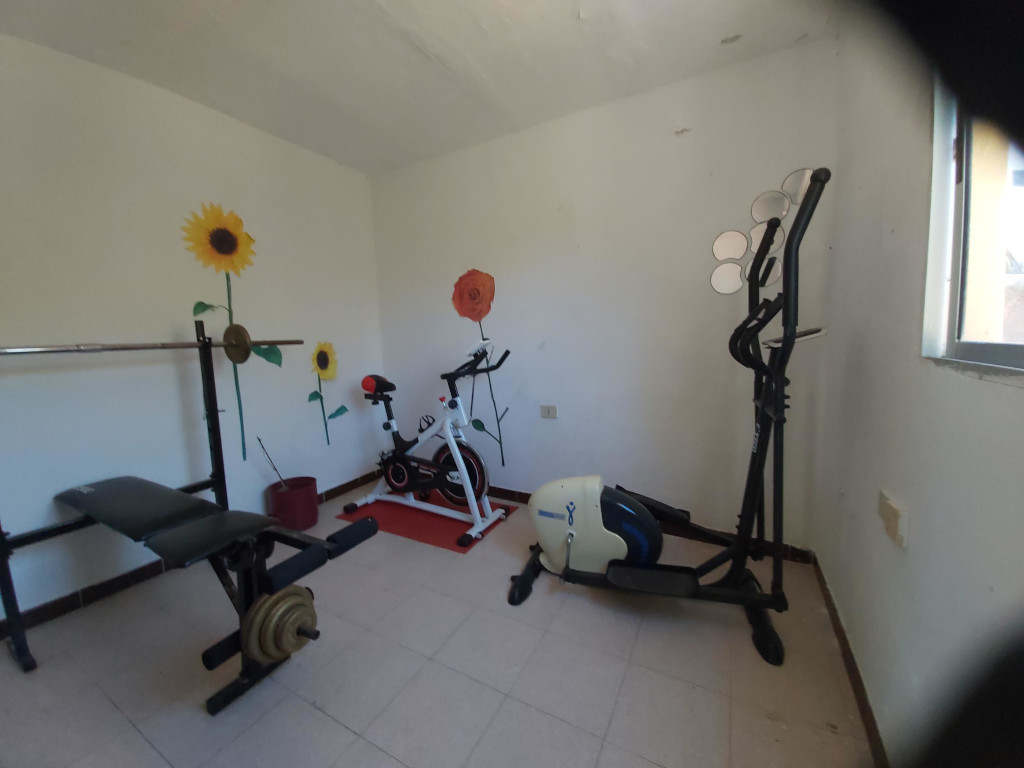 Palestra con attrezzi fitness, bicicletta fissa e decori murali a Tenerife.
