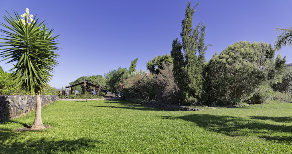Giardino verde con alberi e un pergolato a Tenerife.