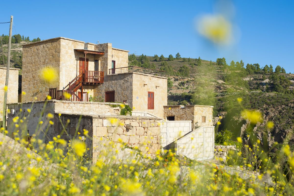 Casa in pietra e fiori gialli in primo piano a Vilaflor, Tenerife.