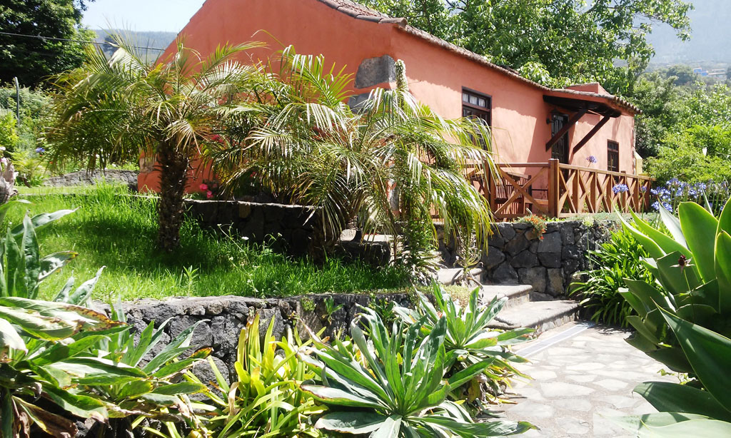 Casa rurale con giardino e palme a Tenerife.