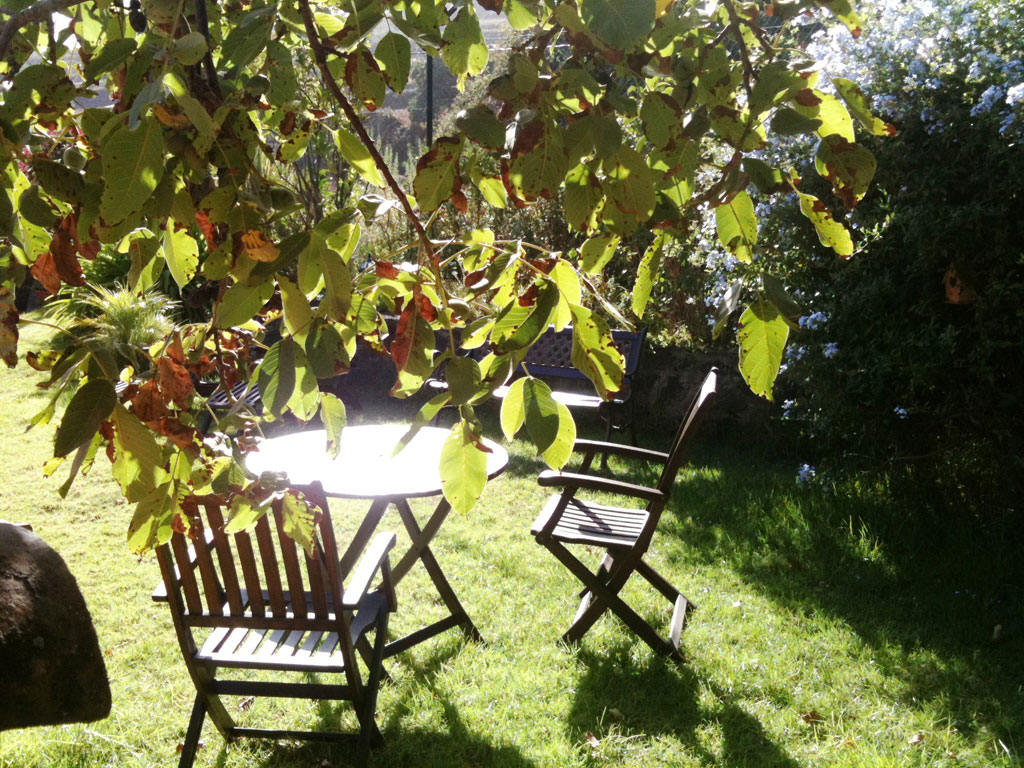 Sedie e tavolo da giardino sotto albero nel giardino di Tenerife.