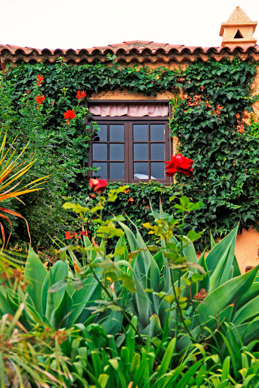 Finestra con viti e fiori rossi a Tenerife.