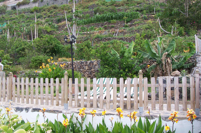 Giardino terrazzato con piante e fiori a Puerto de la Cruz, Tenerife.