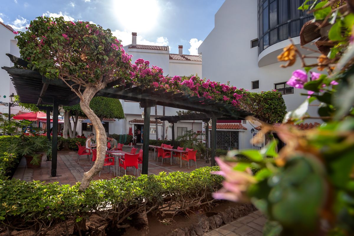 Giardino con pergolato fiorito e tavoli rossi a Santa Cruz de Tenerife.