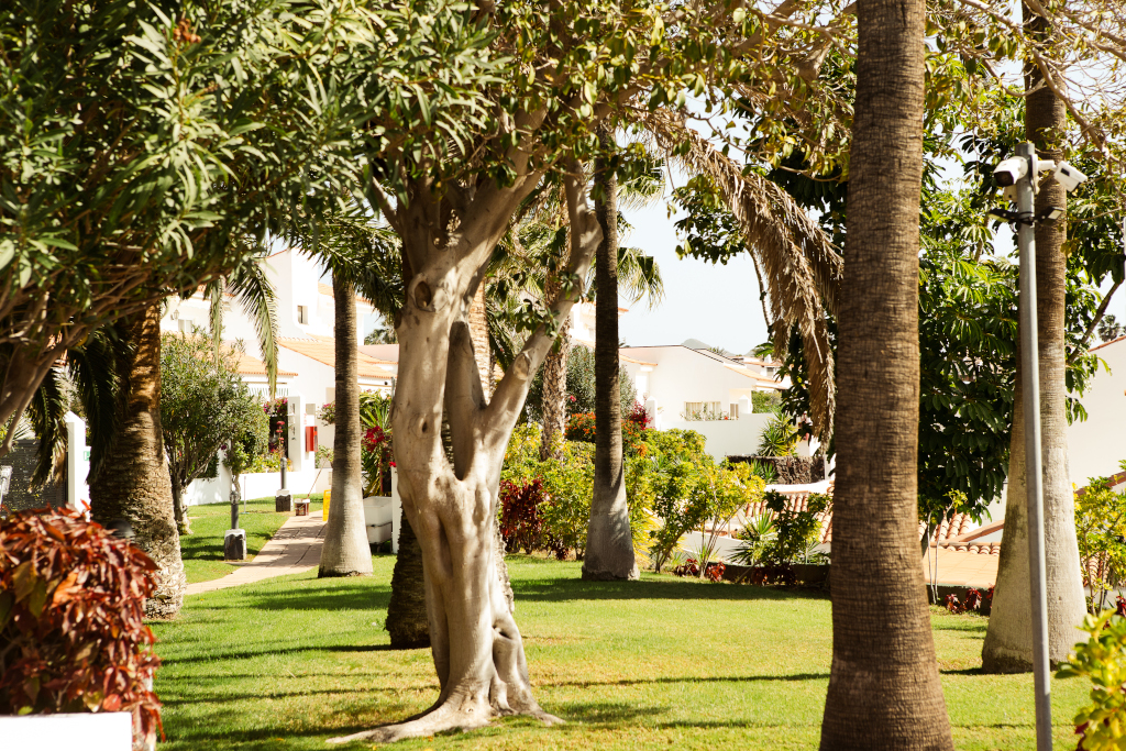 Giardino con alberi e edifici bianchi a Costa Adeje, Tenerife.