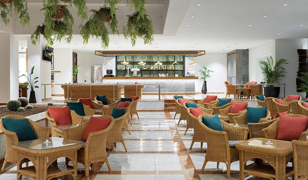 Sala con sedie e tavoli di vimini, piante sospese e bar sullo sfondo a Tenerife.