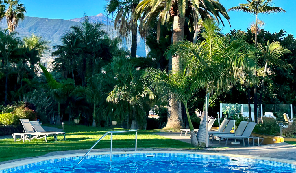 Piscina circondata da palme e sedie a sdraio a Puerto de la Cruz, Tenerife.