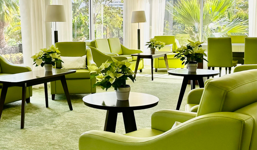 Sala d'attesa con poltrone verdi e piante a Puerto de la Cruz, Tenerife.