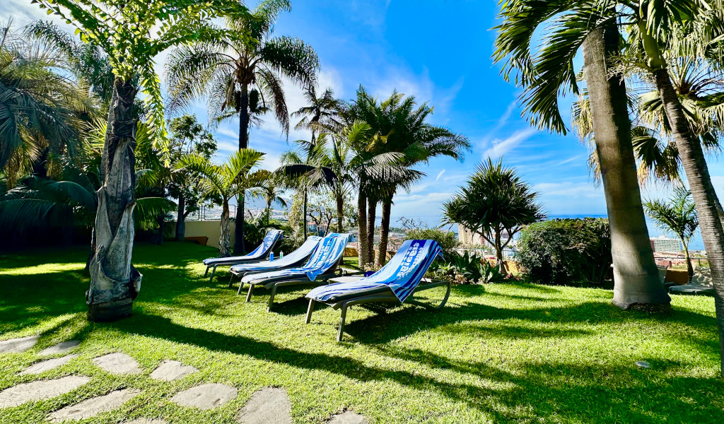 Sdraie sotto palme nel giardino di un hotel a Tenerife, vista mare sullo sfondo.