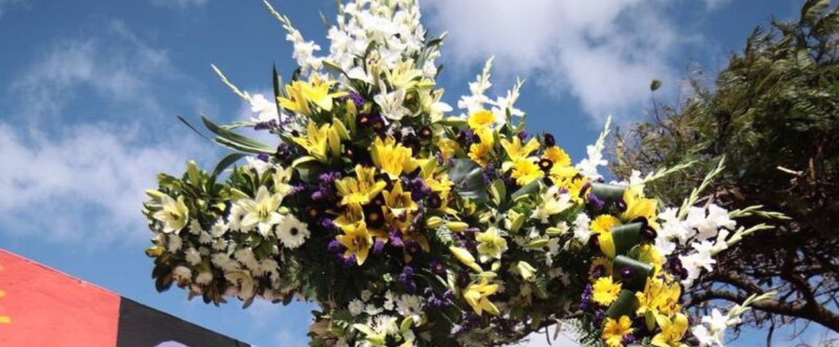 Giornata della Croce