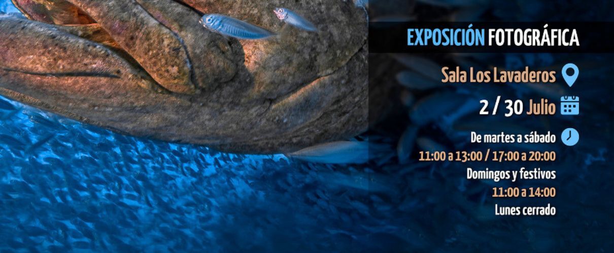 Mostra fotografica CIMASUB