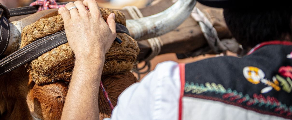Pellegrinaggio di San Rocco