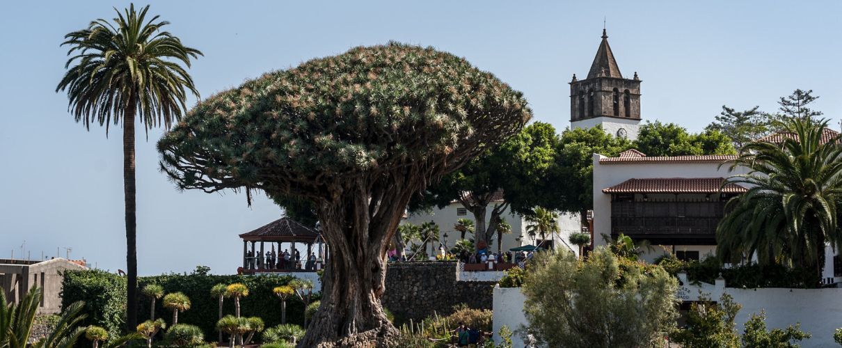 Le Feste di San Andres a Icod