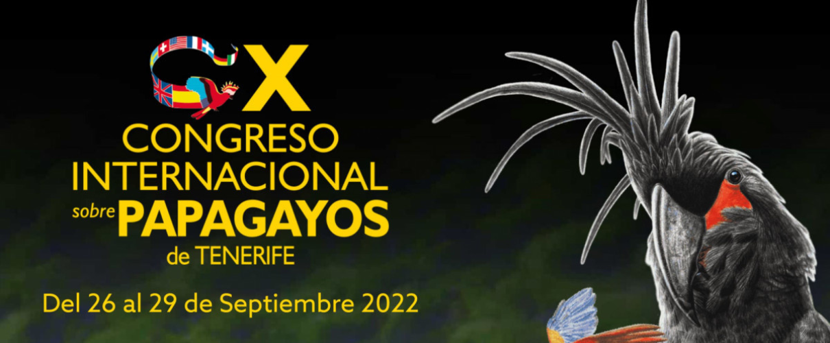 XI Congresso internazionale sui pappagalli a Tenerife