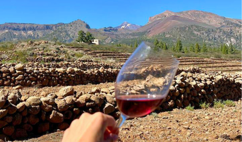 Calice di vino rosso su sfondo di paesaggio montuoso a Teide, Tenerife.