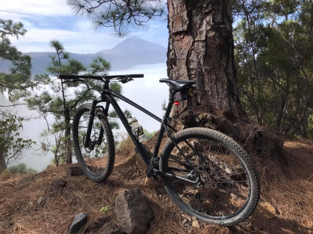 Bicicletta nera appoggiata a un albero con vista sul paesaggio montuoso a Tenerife.