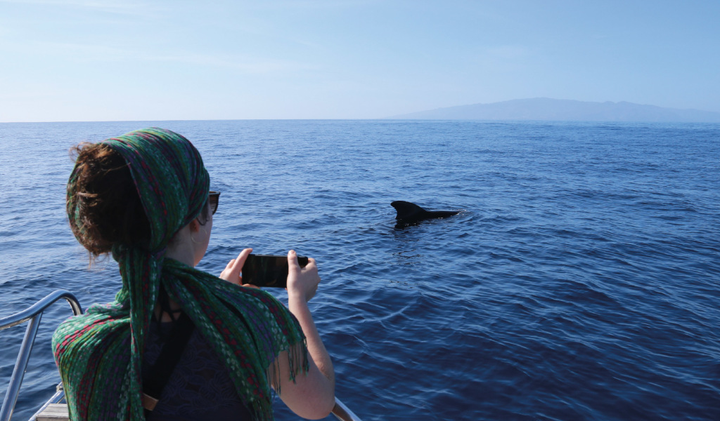 Persona che fotografa un delfino in mare vicino a Tenerife.