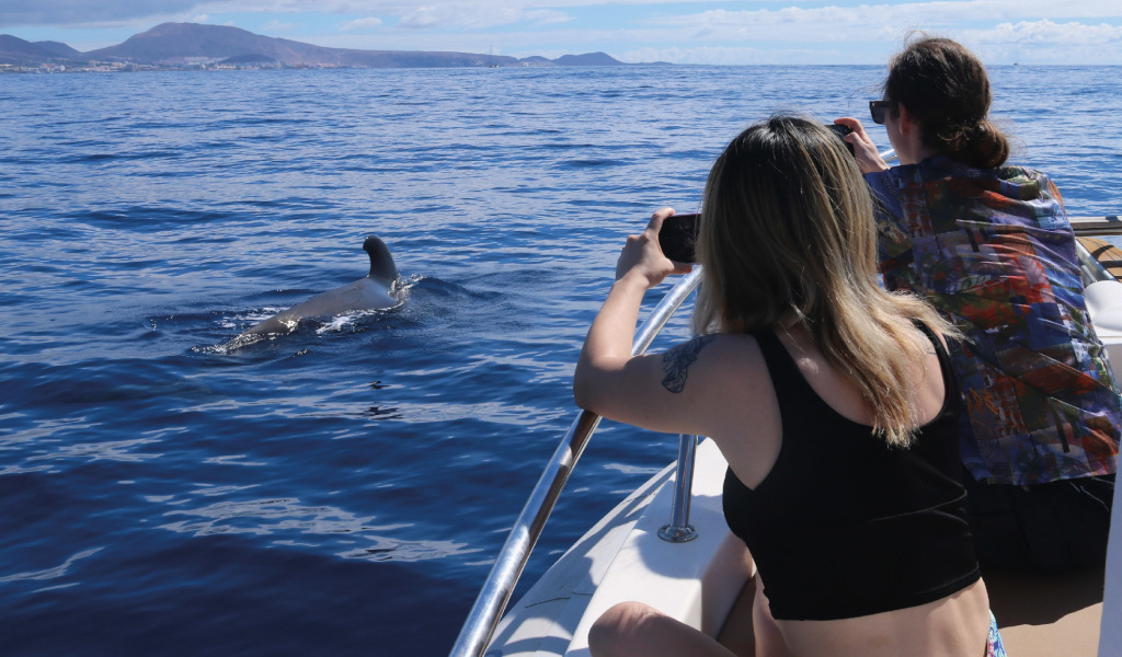 Persone che fotografano balene nel mare vicino alla costa di Tenerife.