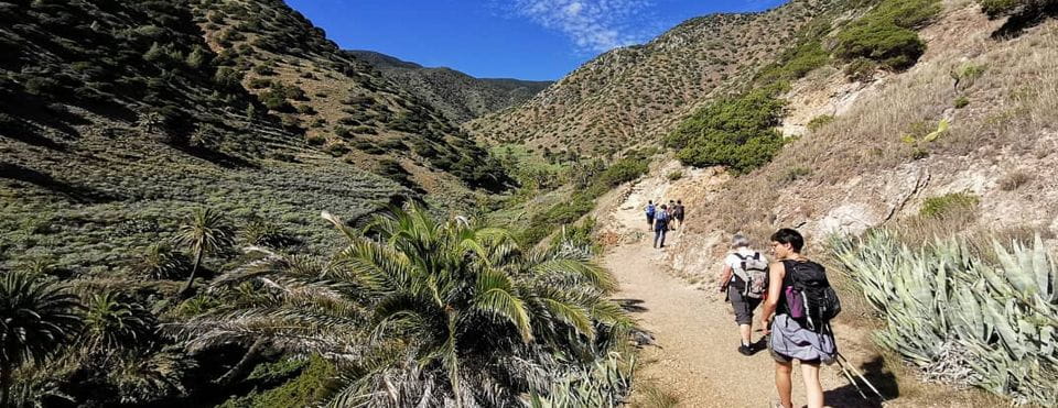 Bicácaro Tenerife Adven-tour
