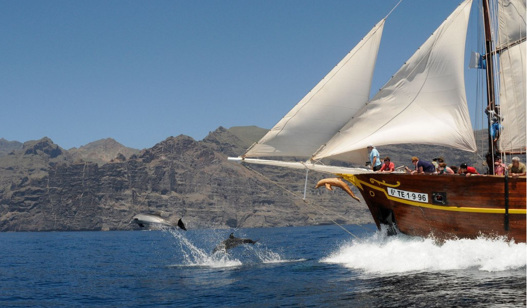 Barca a vela vicino alle scogliere di Los Gigantes a Tenerife con delfini che saltano.