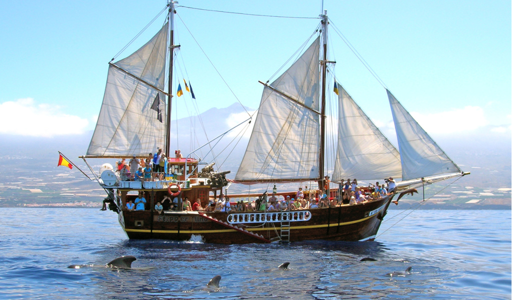 Barca turistica a vela in mare con delfini nelle acque di Tenerife.