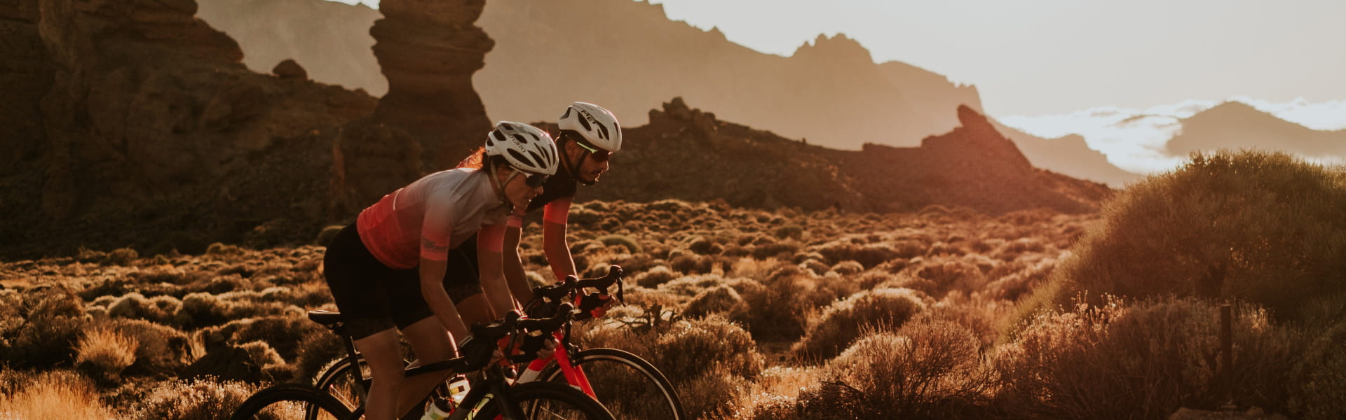 Bikecenter Free Motion