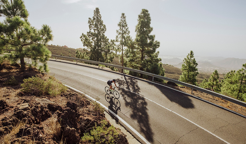 Ciclista che scende una strada a Tenerife tra pini e paesaggio montuoso.