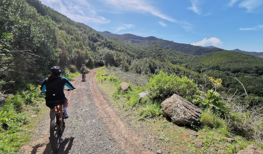Ciclisti su un sentiero montuoso circondato dal verde a Tenerife.