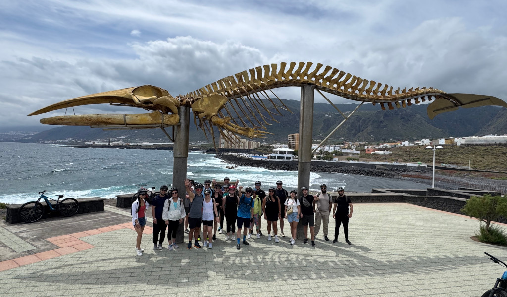 Gruppo di persone sotto uno scheletro di balena a Puerto de la Cruz, Tenerife.