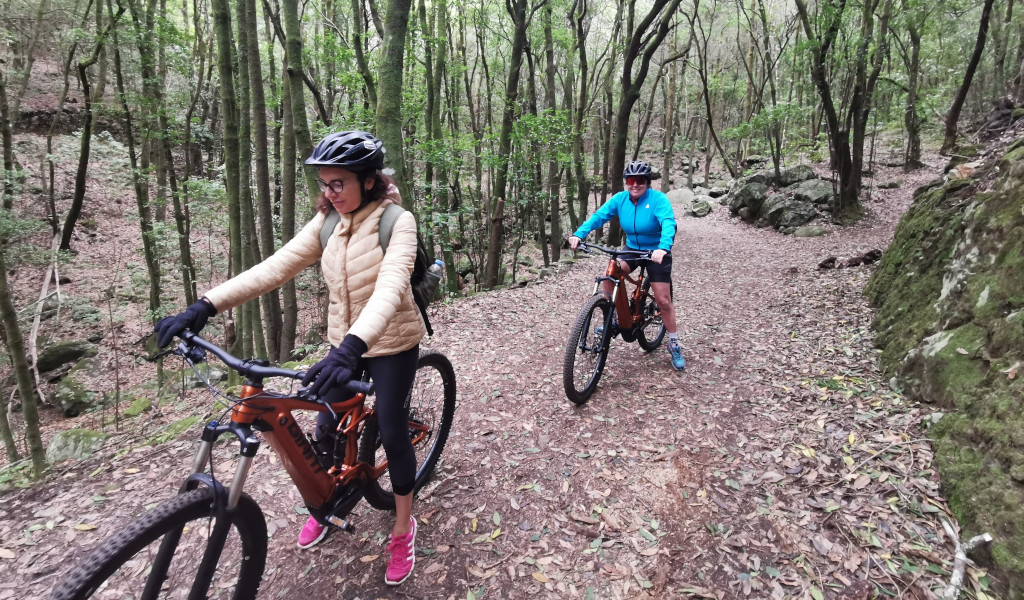 Persone che fanno mountain bike su un sentiero boschivo a Tenerife.