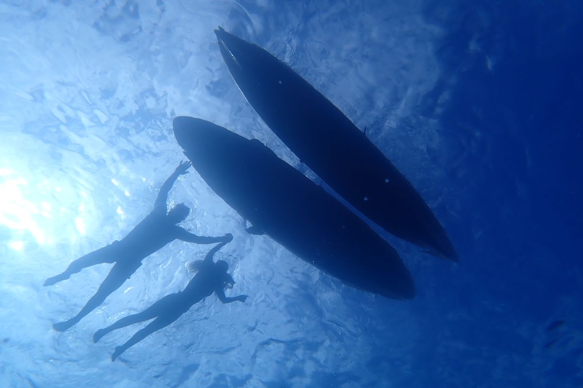 Due persone nuotano sott'acqua accanto a tavole da surf a Tenerife.