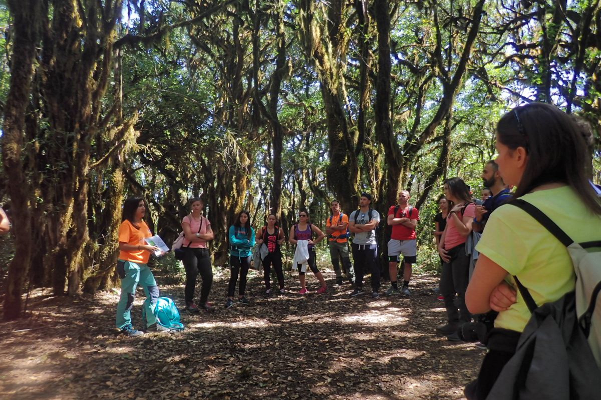 Gruppo di persone in un tour guidato attraverso una foresta a Santa Cruz de Tenerife.