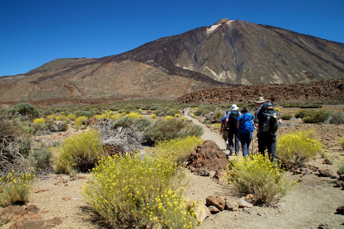 Sentiero verso il Monte Teide a Tenerife, gruppo di persone che cammina tra piante e montagne.