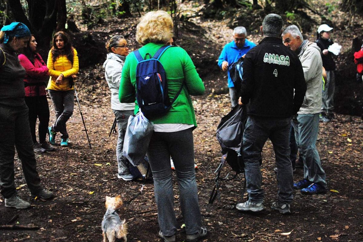 Gruppo di persone che si prepara per un'escursione nella foresta di Anaga, Tenerife.