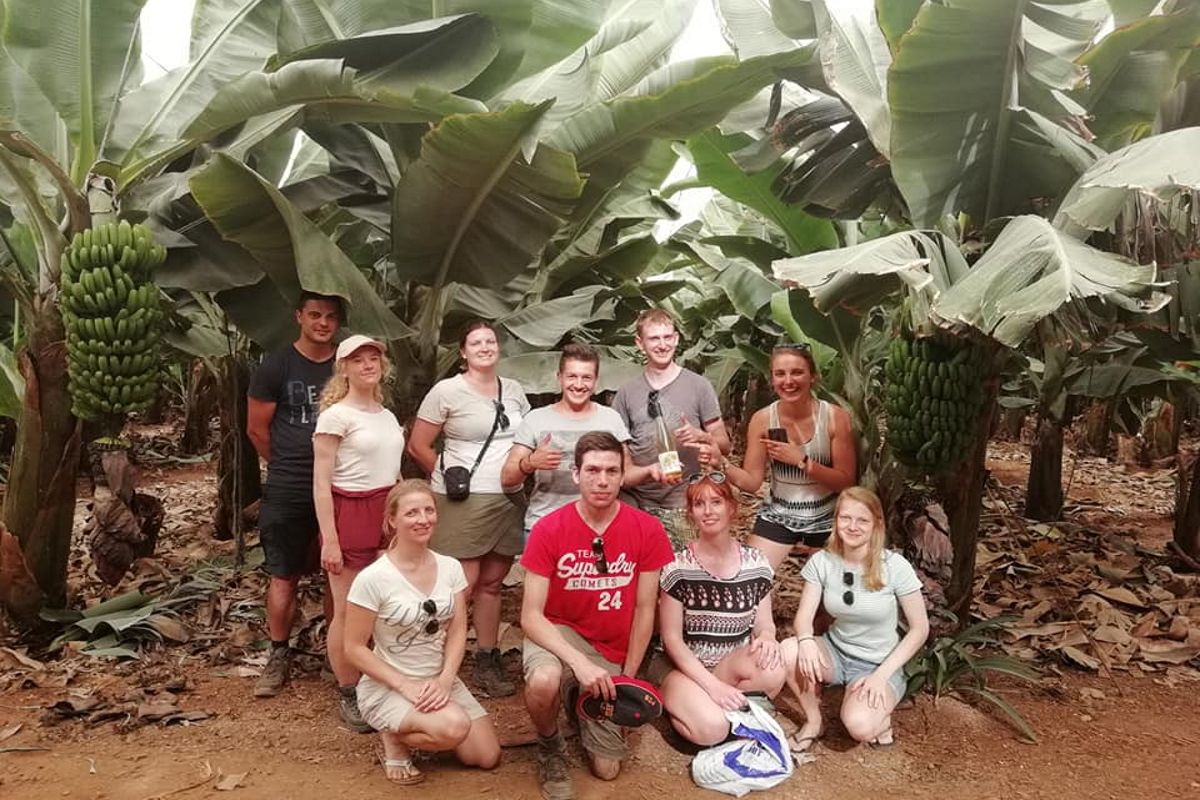 Gruppo di persone in una piantagione di banane a Tenerife.