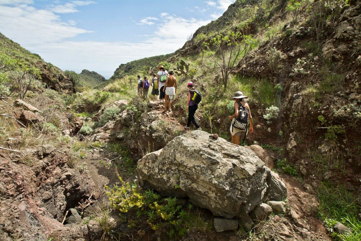 Escursionisti su un sentiero montuoso a Tenerife circondati da vegetazione e rocce.