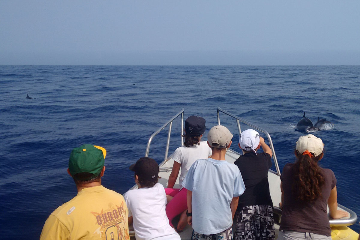 Canarias-Nature-guides-1