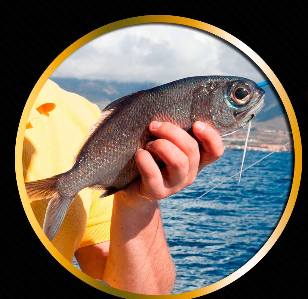 Pescatore che tiene un pesce davanti al mare a Tenerife.