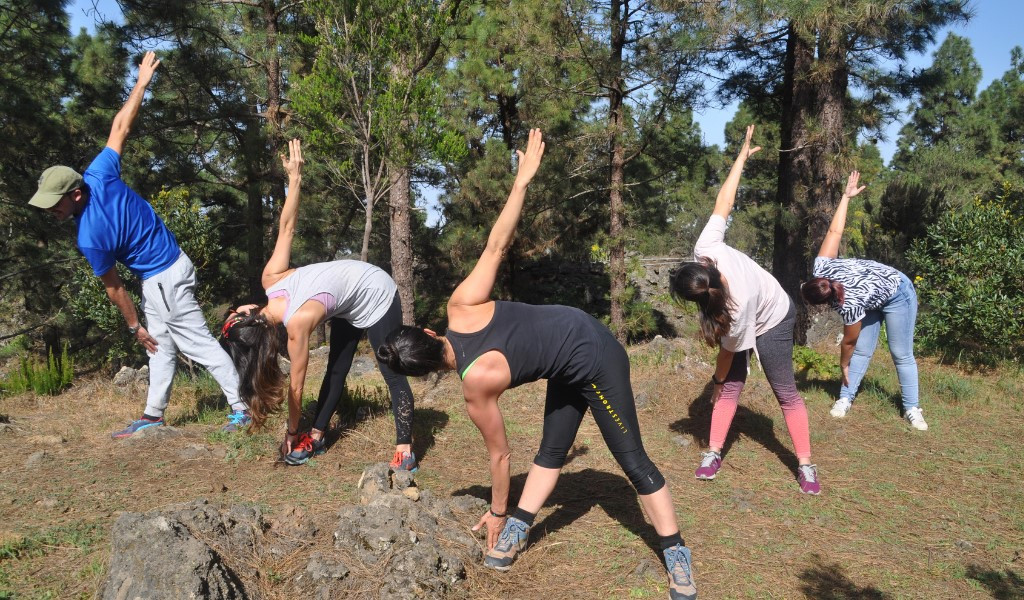Persone che fanno esercizi di stretching in una foresta a Tenerife.