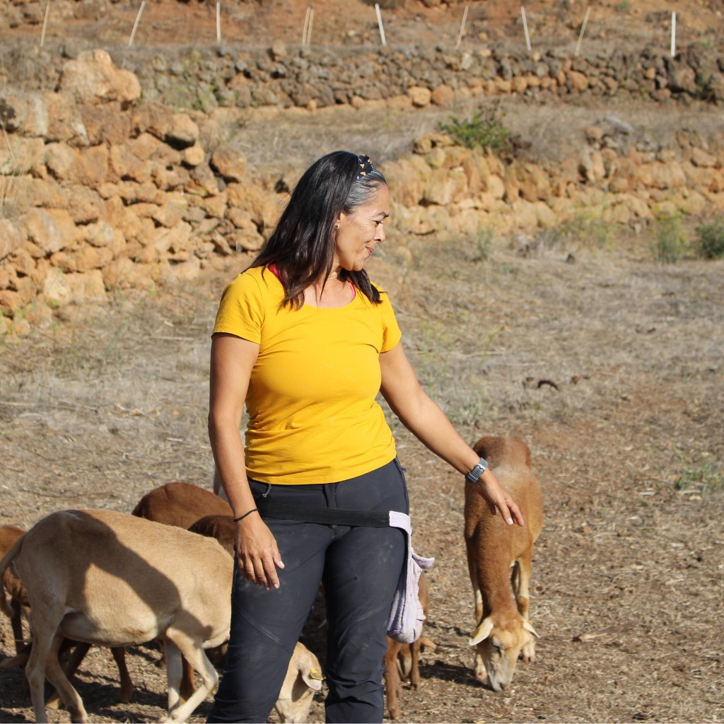 Donna accanto a capre che pascolano su un terreno rurale a Tenerife.
