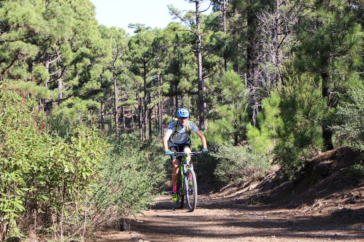 Persona su mountain bike su un sentiero circondato da pini a Tenerife.