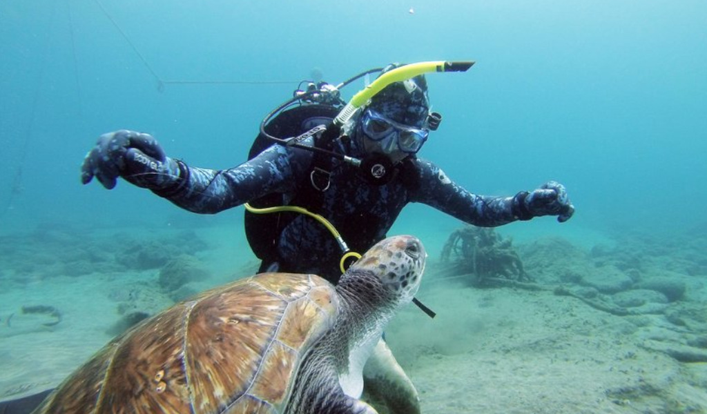 Subacqueo che nuota con una tartaruga marina nelle acque di Tenerife.