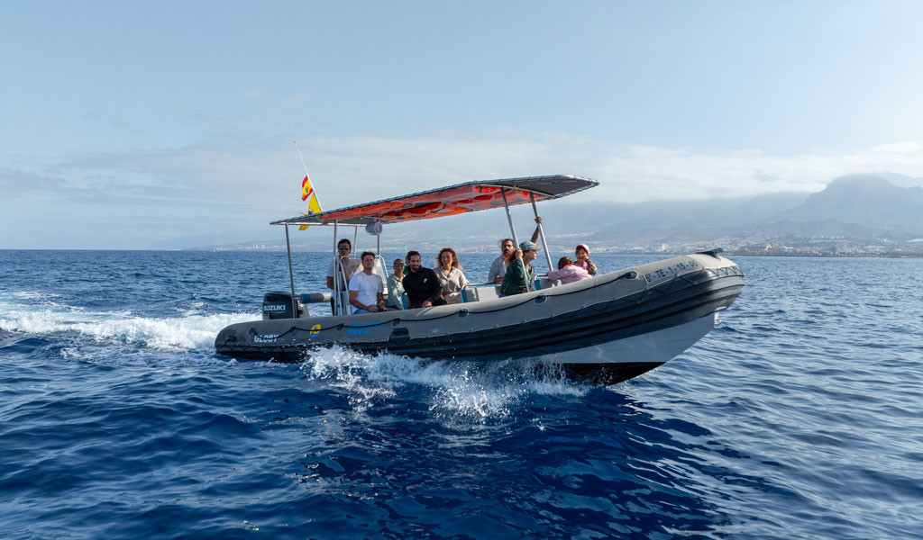 Gruppo di persone su una barca gonfiabile che naviga vicino alla costa di Tenerife.