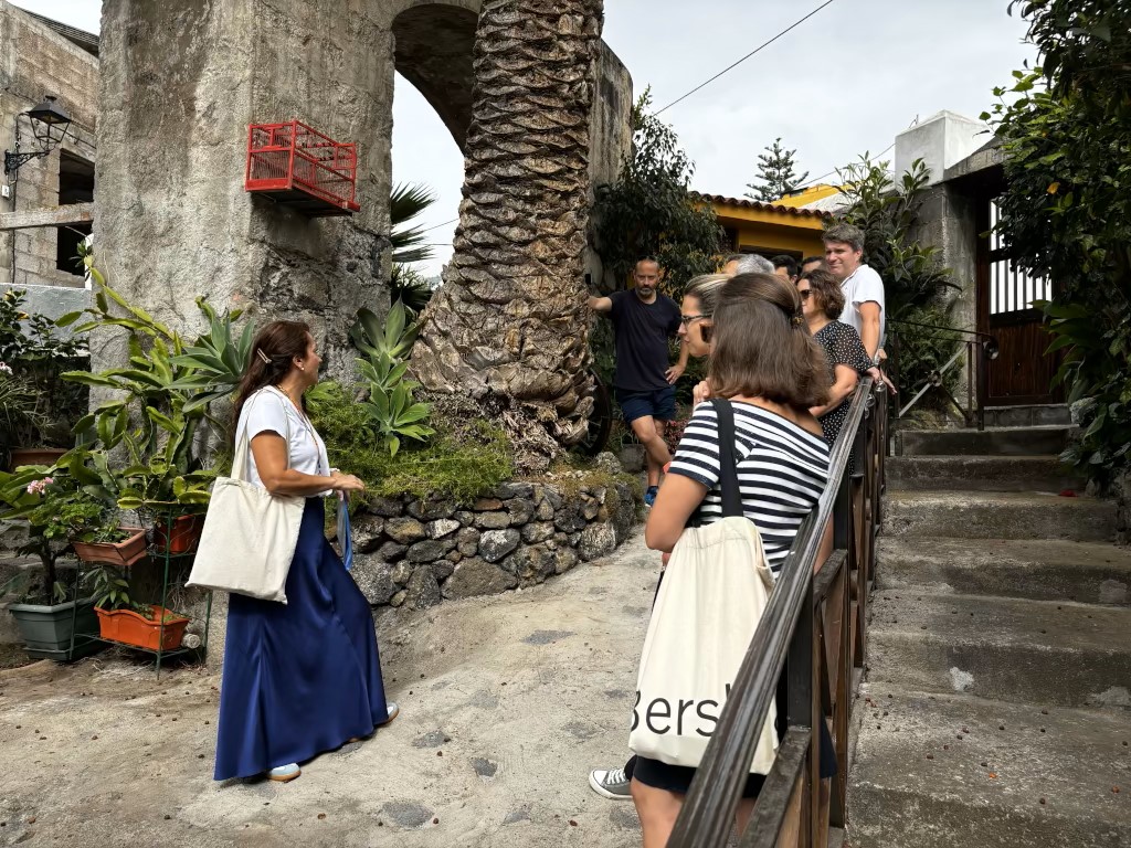 Le persone parlano e osservano le piante accanto a una palma in un giardino a Tenerife.
