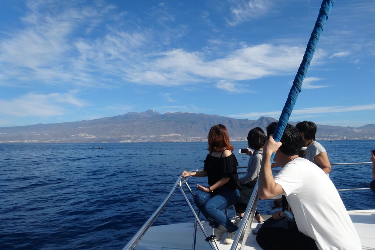 Persone che osservano il mare e le montagne da una barca a Tenerife.