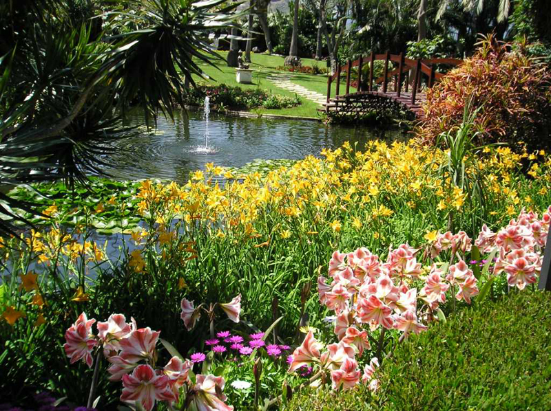 Giardino con fiori e stagno con fontana e ponte a Tenerife.