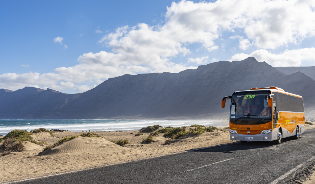 Linea di autobus 230 che percorre una strada costiera a Tenerife.