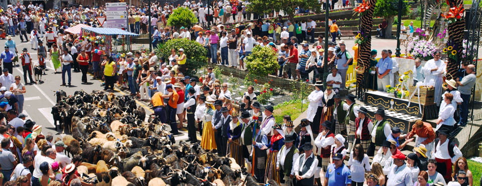 Romería de la Esperanza